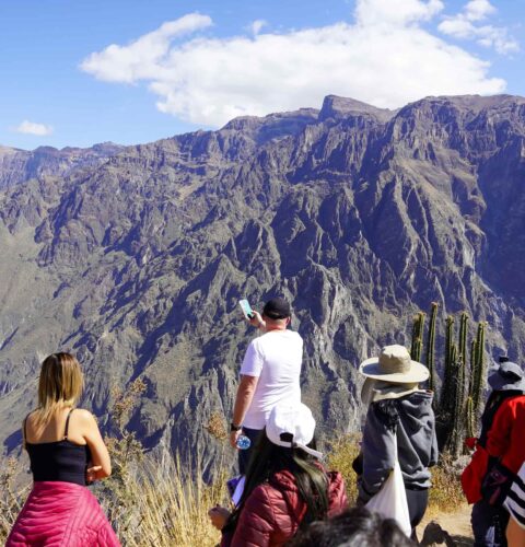 Tour Colca Tradicional Full Day